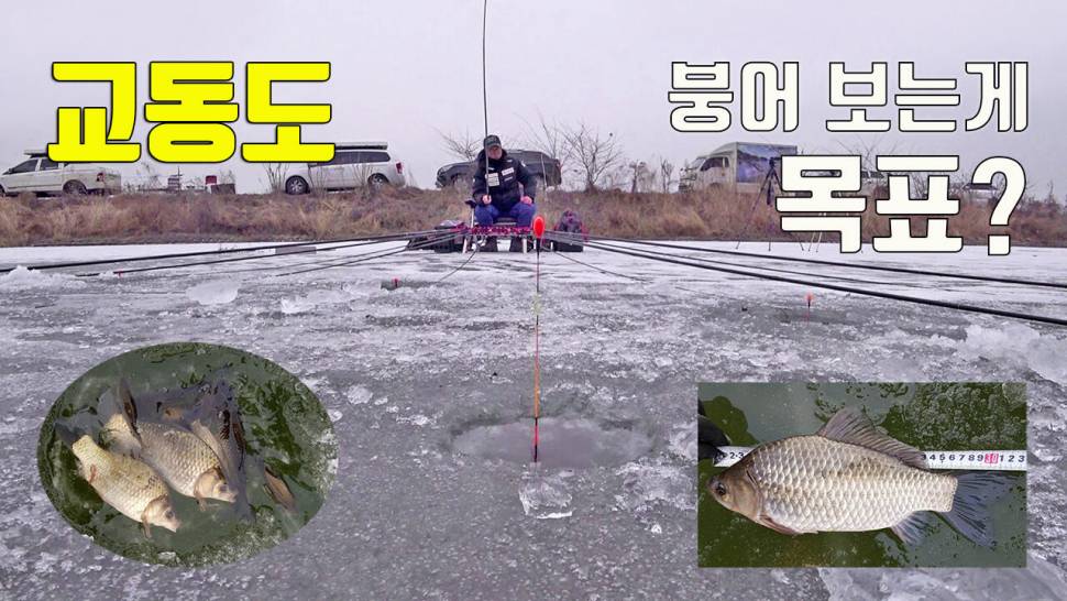 강화 교동도 얼음낚시 (조황조행기 - 화보조행기)