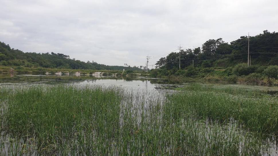 붕어낚시 연구소보습팀 정출 (조황조행기 - 화보조행기)