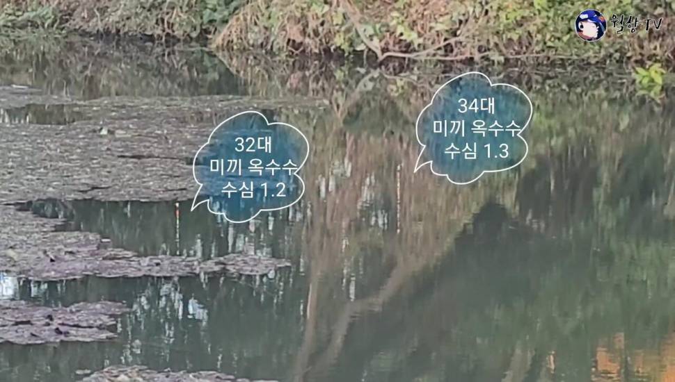 담양 봉산수로 현지인 애장터에서 놀다가 왔어요 (조황조행기 - 화보조행기)