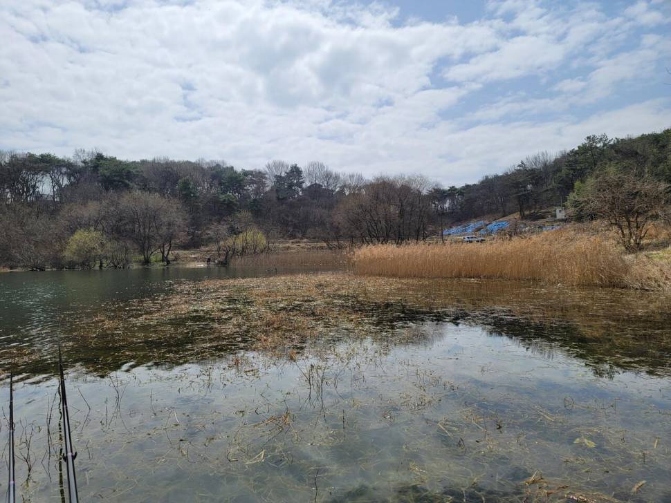 바람이 불어오는 곳 (조황조행기 - 화보조행기)