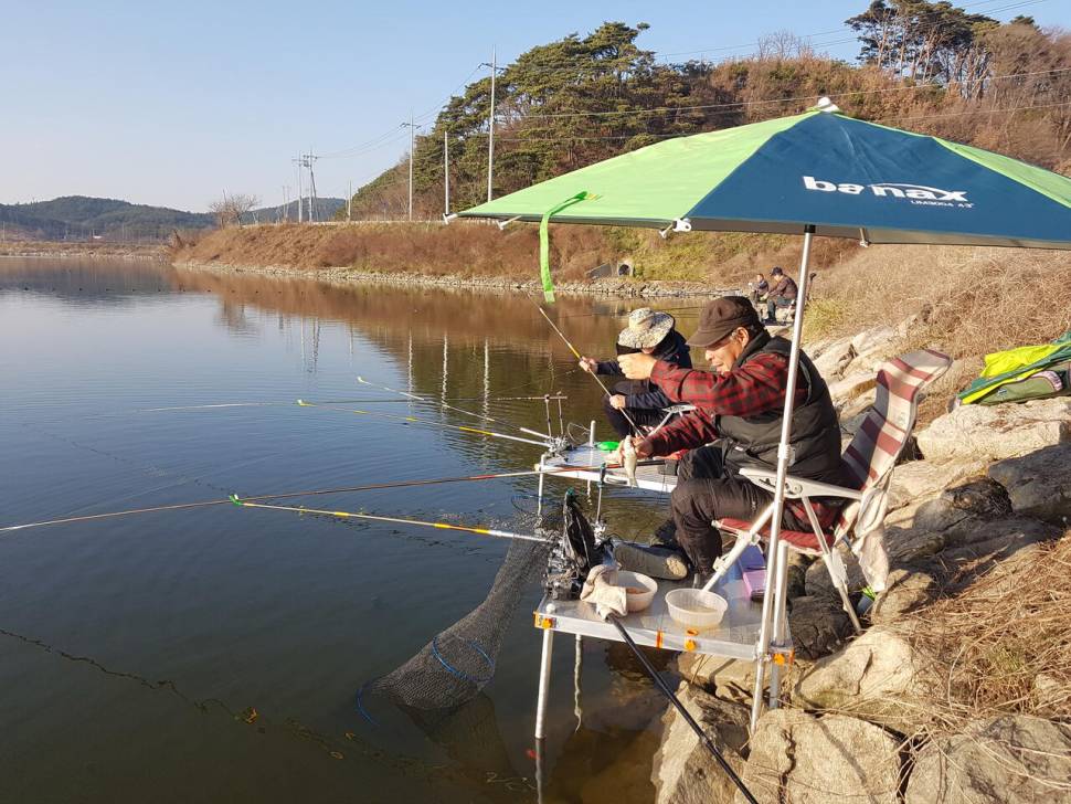 풍림화산의 물가여행 91 홍성호 출조 이야기 동절기인지 산란기인지 원날씨가 미침 (조황조행기 - 화보조행기)