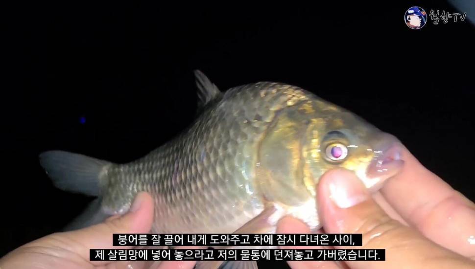 담양 봉산수로 현지인 애장터에서 놀다가 왔어요 (조황조행기 - 화보조행기)