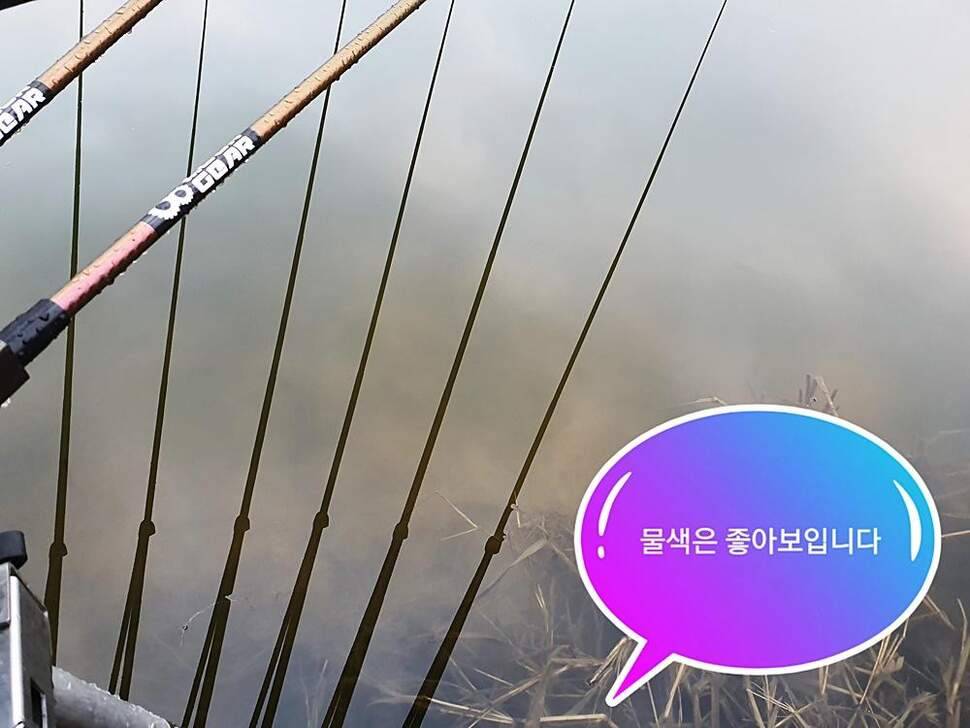 충주권 (조황조행기 - 화보조행기)