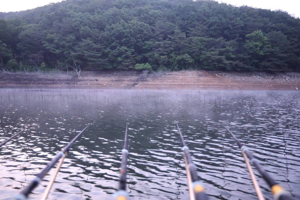 ※ 홍이의 낚시여정 갈수기 저수율 최저 포인트 공략 (조황조행기 - 화보조행기)