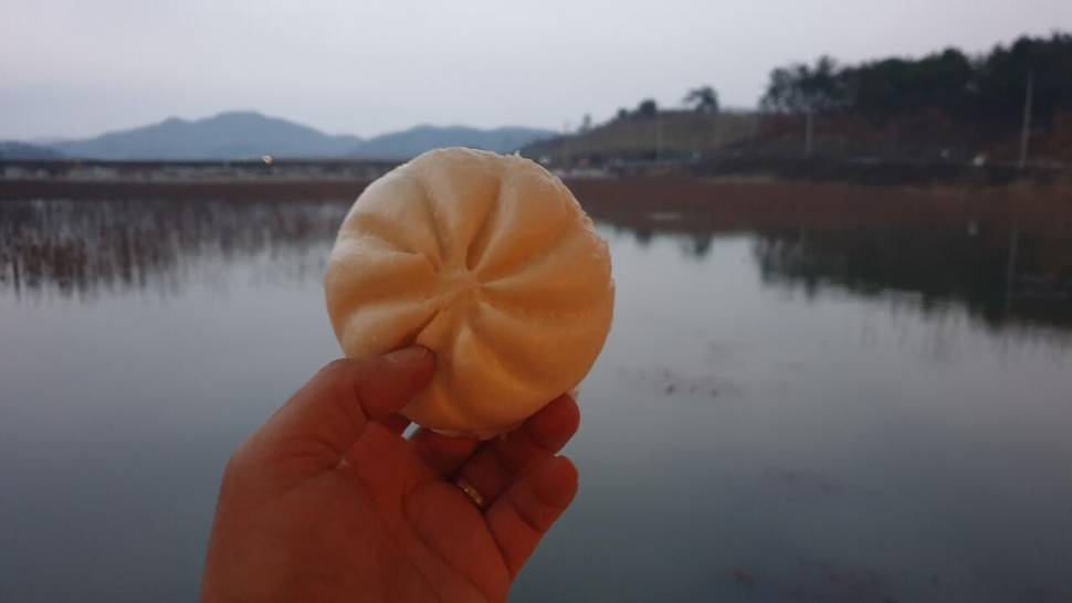 피싱 패밀리시즌마감 (조황조행기 - 화보조행기)