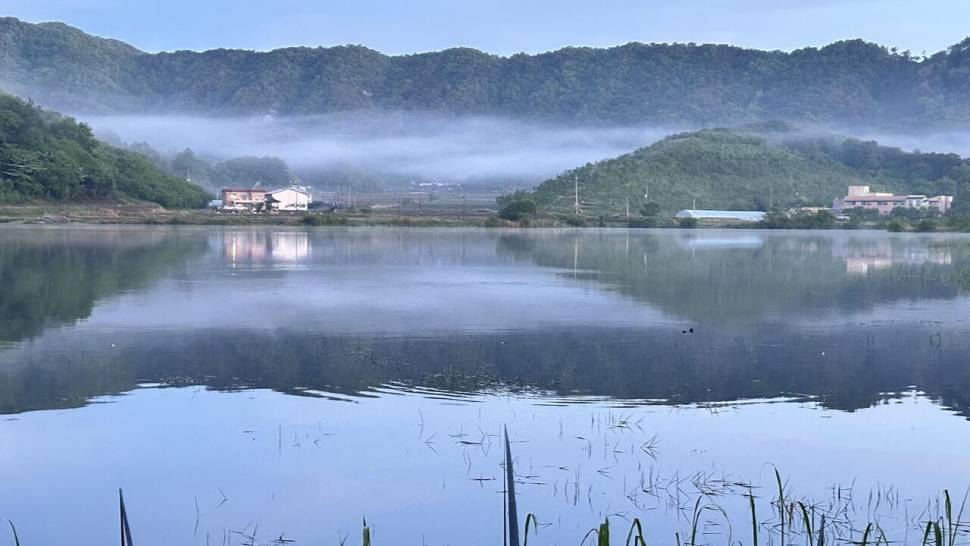 충남의 대물터 (조황조행기 - 화보조행기)