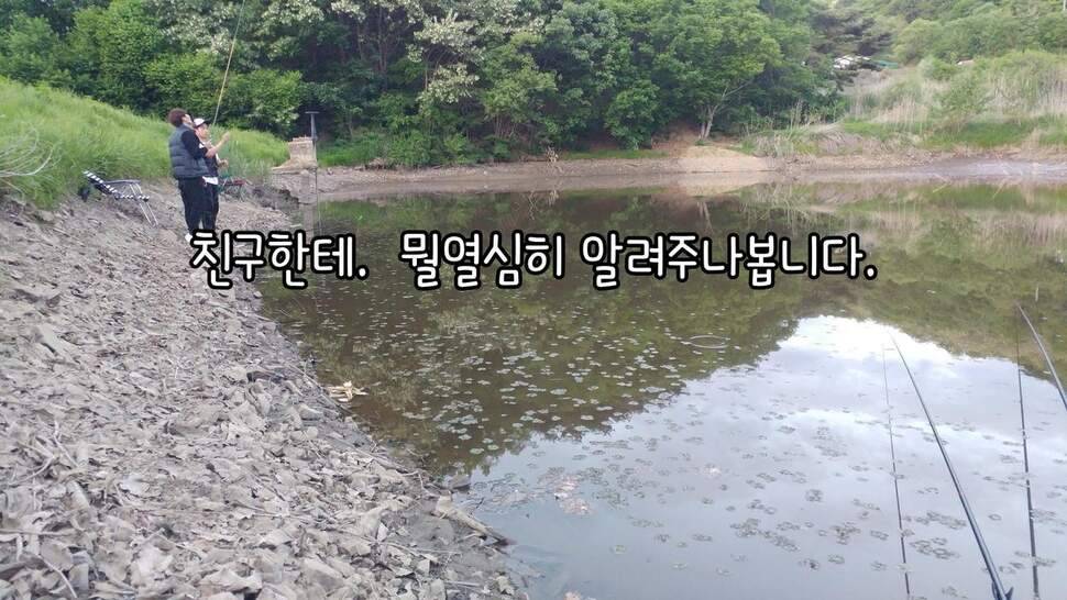 지존조행기아빠와 아들 그리고 피조사 (조황조행기 - 화보조행기)