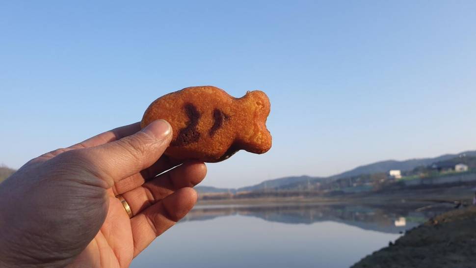 쌍둥이붕어 ㅎ (조황조행기 - 화보조행기)