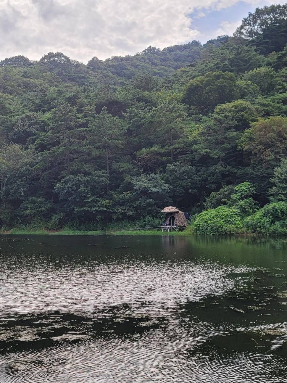 비밀의 정원 (조황조행기 - 화보조행기)