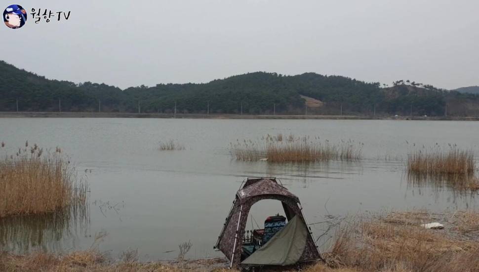 붕어낚시 홍성호에서 6치부터 4짜까지 마릿수 성공 (조황조행기 - 화보조행기)