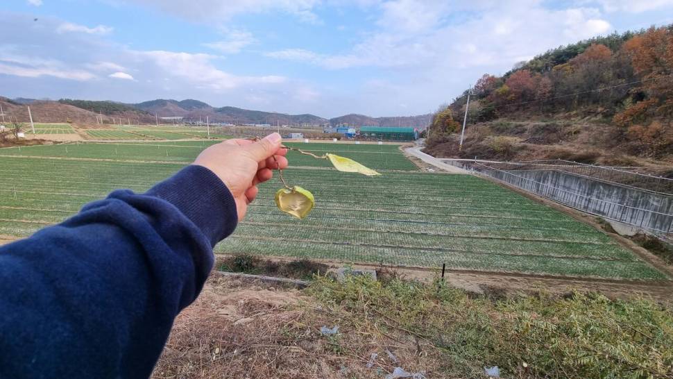 자연과 함께 (조황조행기 - 화보조행기)