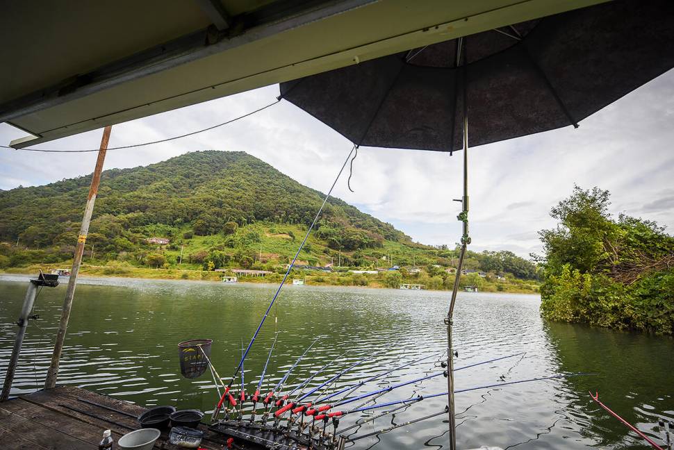 충주 김기호낚시터 붕어낚시 도전 (조황조행기 - 화보조행기)