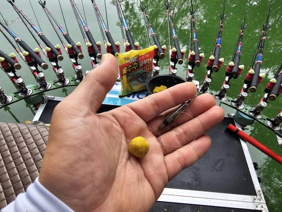 벵에돔 60마리에 붕어4마리 (조황조행기 - 화보조행기)