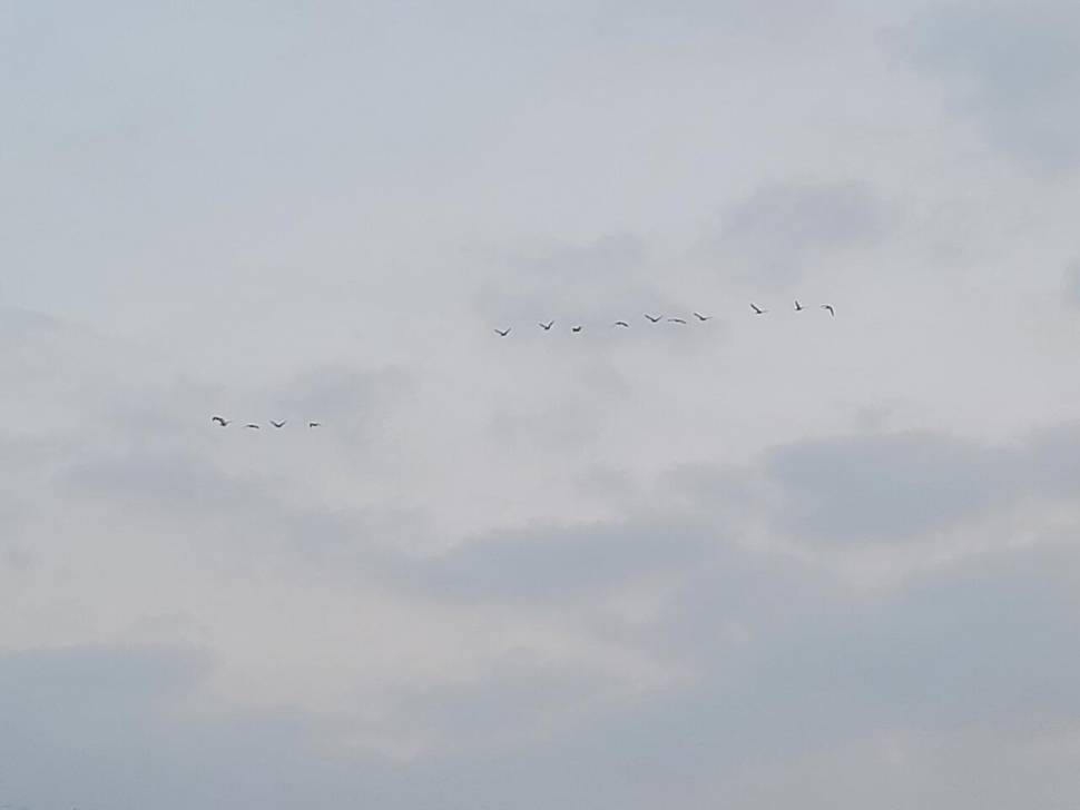 얼음낚시 초보의 도전기 (조황조행기 - 화보조행기)