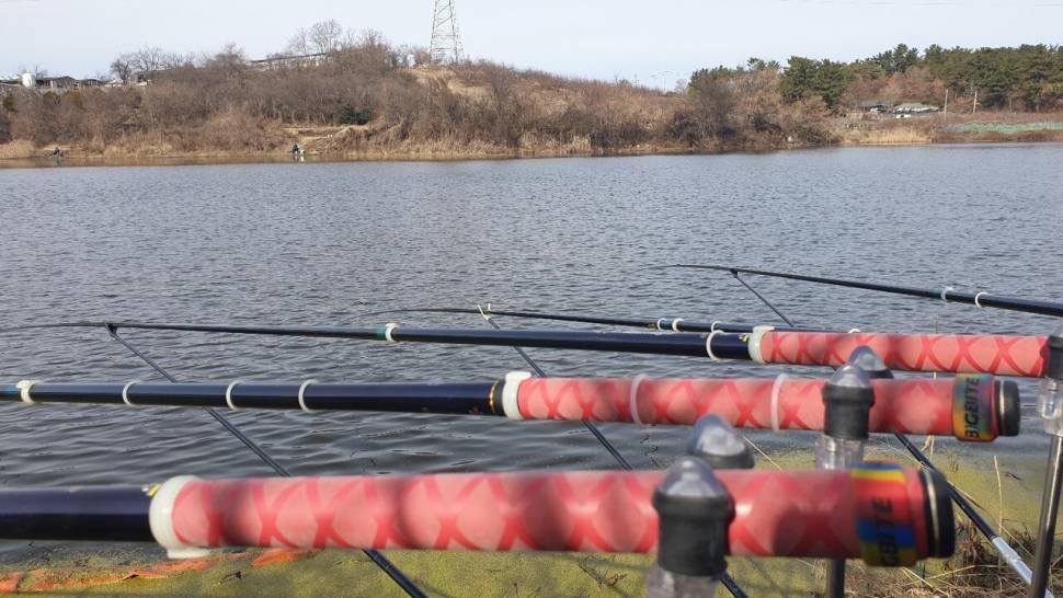 손발이꽁꽁 ㅠㅠ (조황조행기 - 화보조행기)