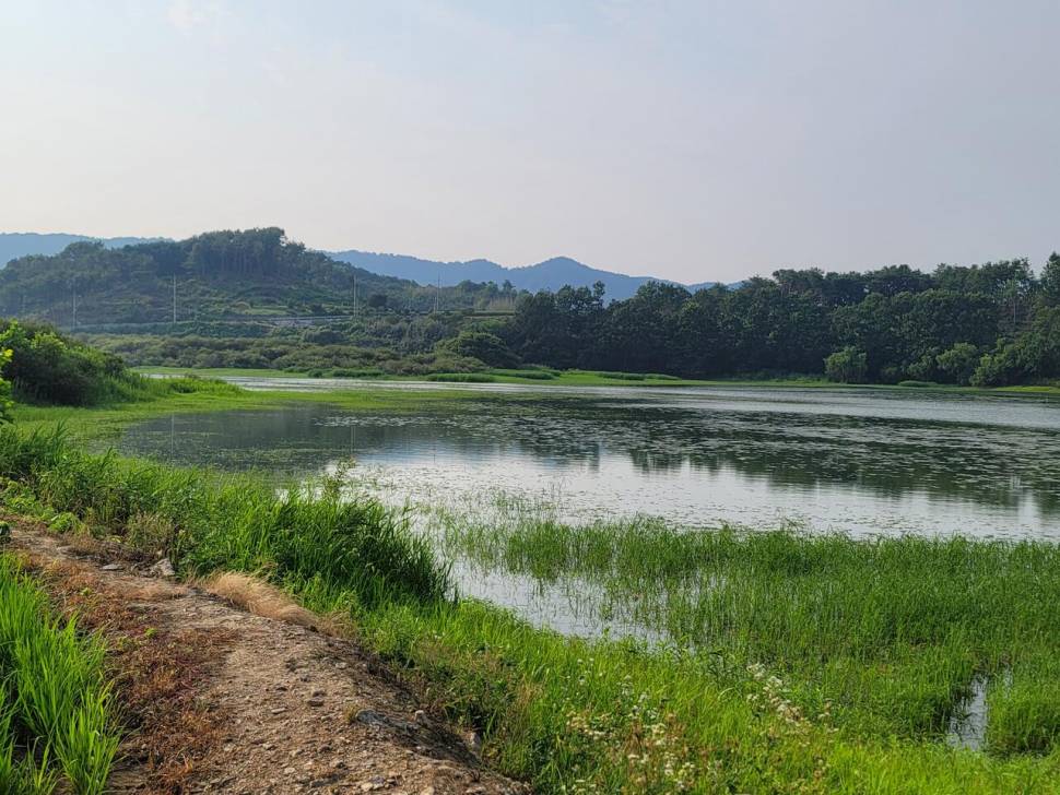 뜨거웠던 저수지에서 하룻밤 (조황조행기 - 화보조행기)