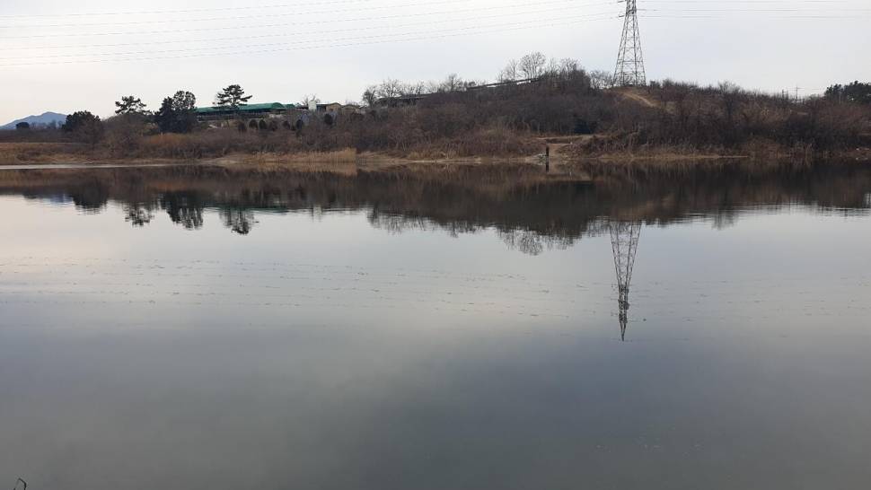 시즌마지막 물낚시 (조황조행기 - 화보조행기)
