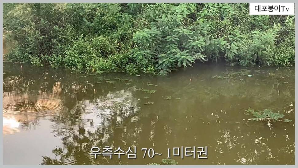 꿈속에서 찾던 토종 대물터 (조황조행기 - 화보조행기)