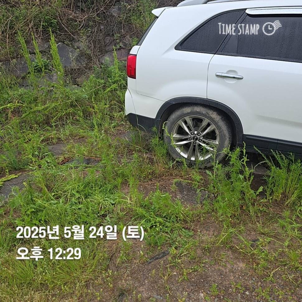 풍비의 주말 나들이 ♧☆ (조황조행기 - 화보조행기)