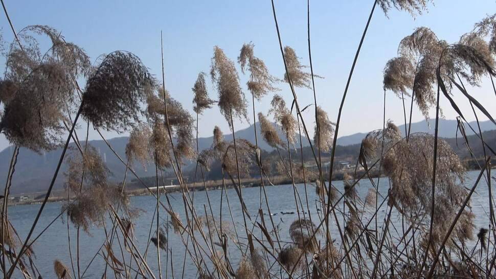 추운날씨 무모한 낚시여행보령 진죽지 (조황조행기 - 화보조행기)