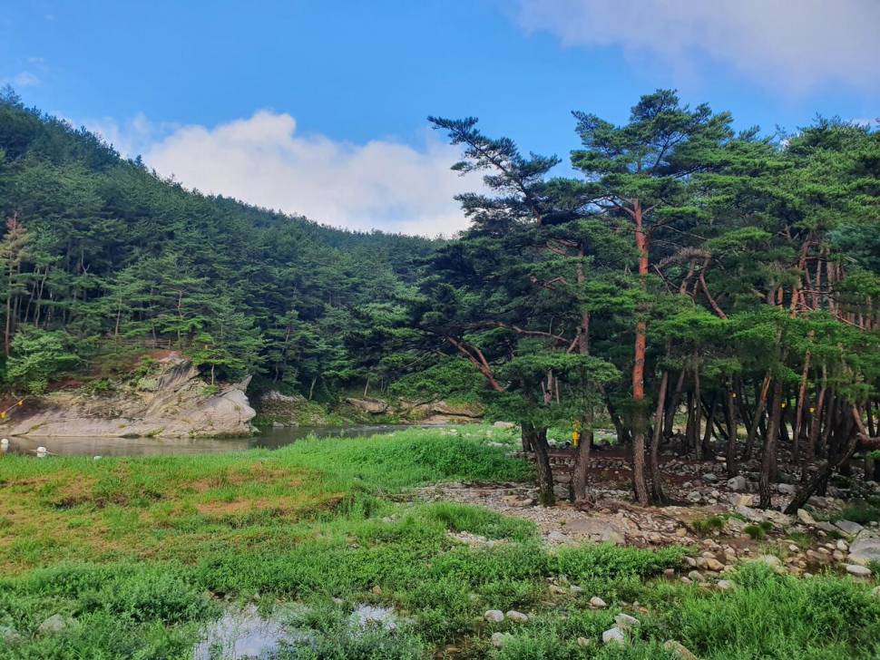 끝여름밤의 꿈을 찿아서 (조황조행기 - 화보조행기)