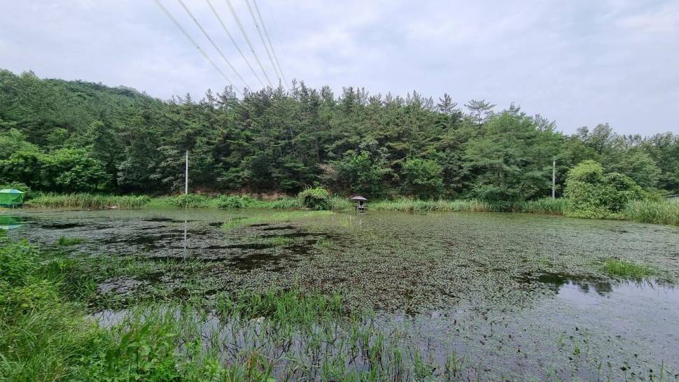 여기는 처음이지 (조황조행기 - 화보조행기)