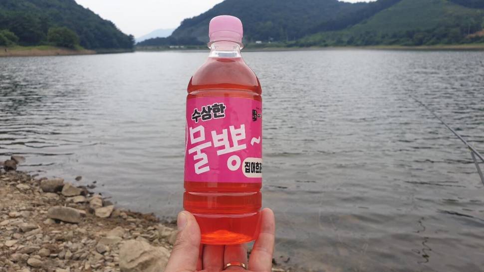 보습팀 정출 (조황조행기 - 화보조행기)
