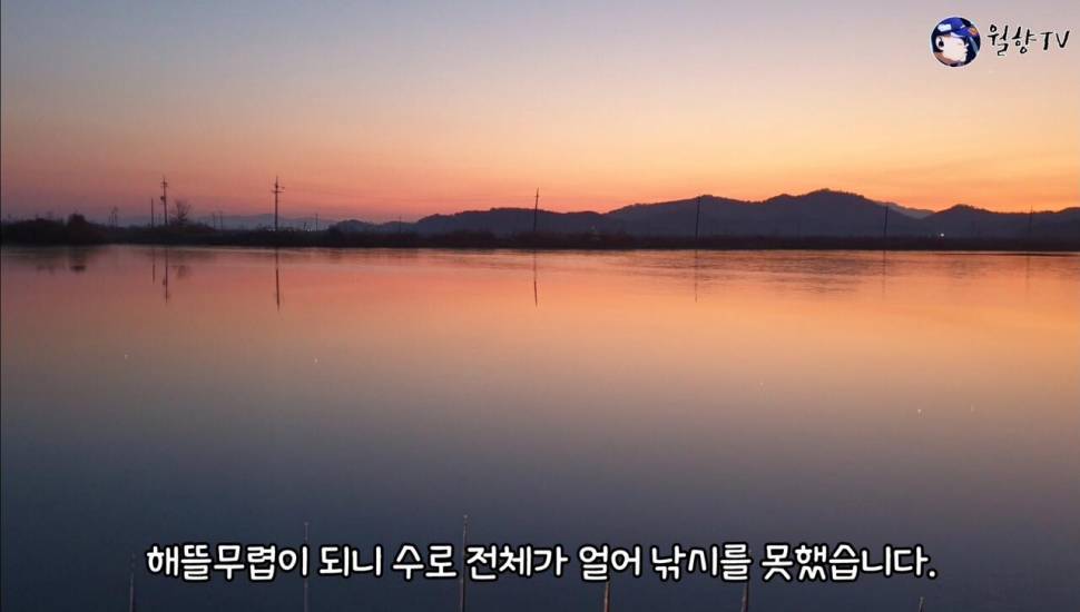 무안에서 즐겁게 낚시하고 왔어요 (조황조행기 - 화보조행기)