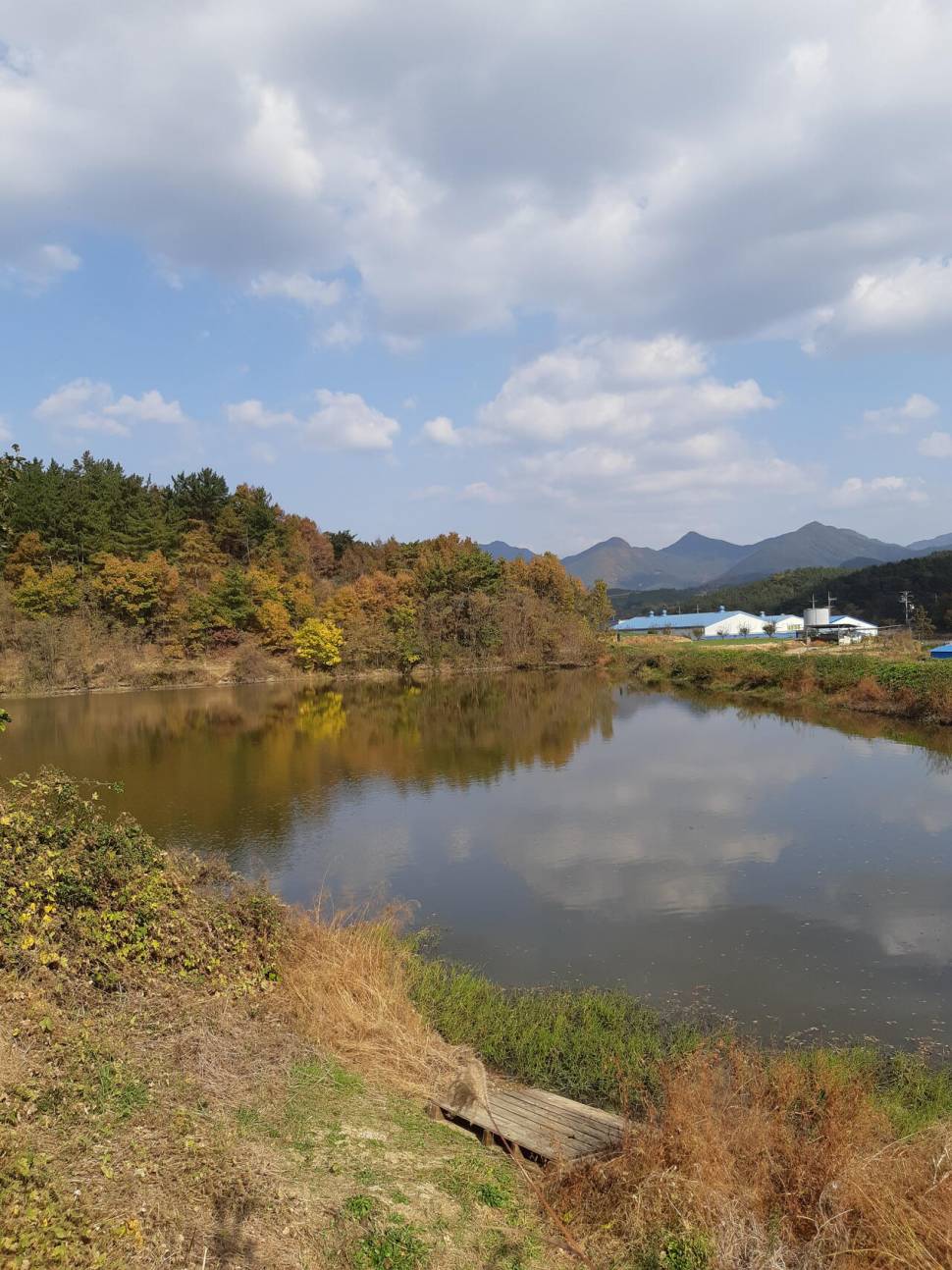 가족들과 오붓한시간 (조황조행기 - 화보조행기)
