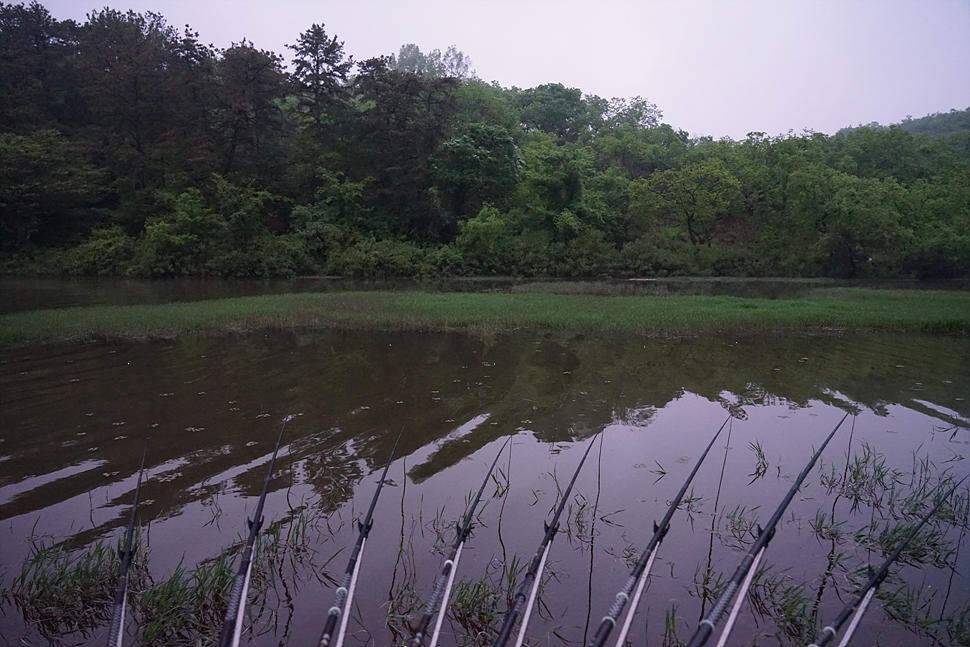 악재와 호재 (조황조행기 - 화보조행기)