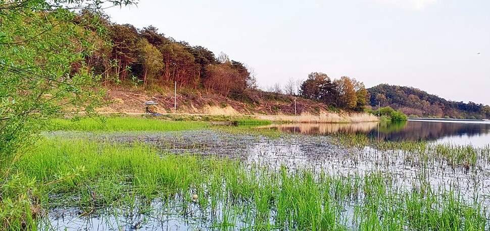 경북권 (조황조행기 - 화보조행기)