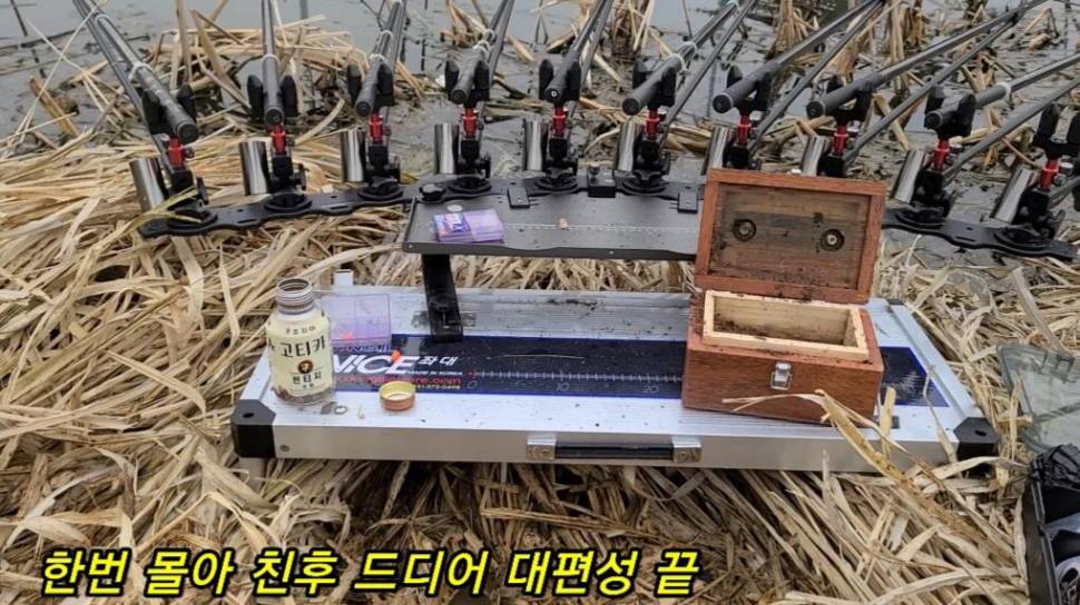 부들갈대 낮은수심 낚시 (조황조행기 - 화보조행기)