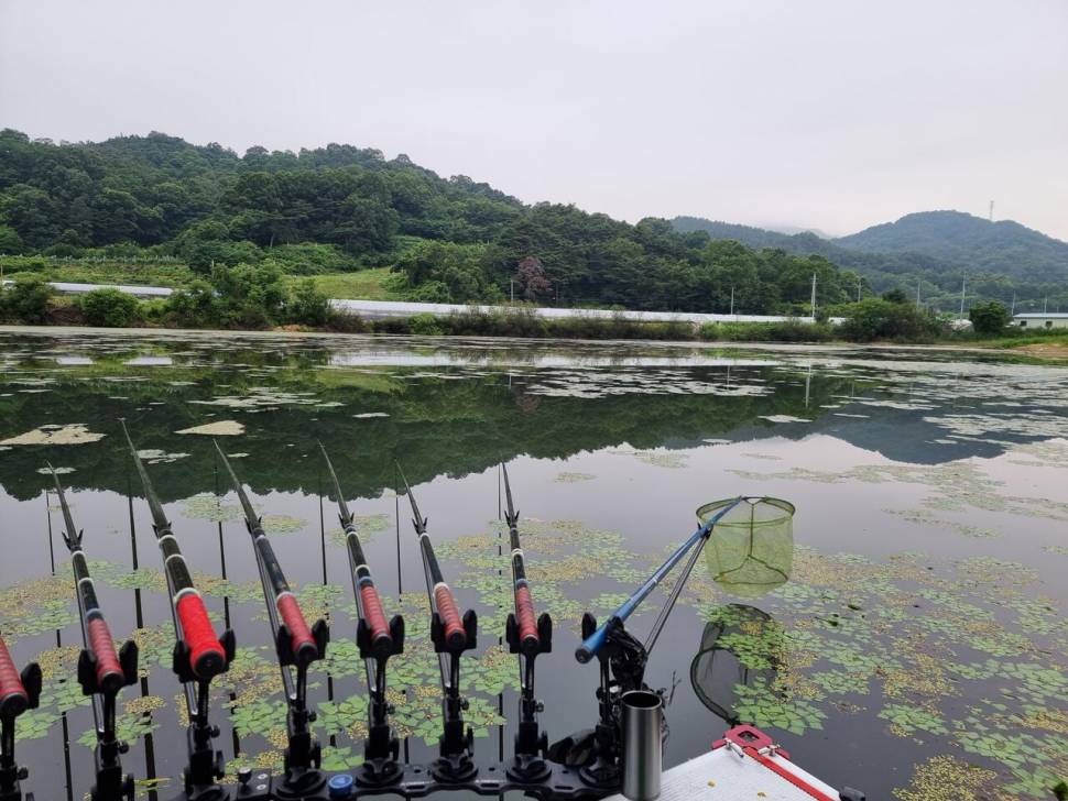 터센 오짜터 출조 (조황조행기 - 화보조행기)