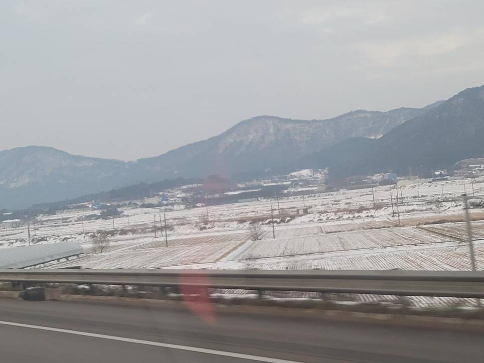 한파끝에 찾은 해남 (조황조행기 - 화보조행기)