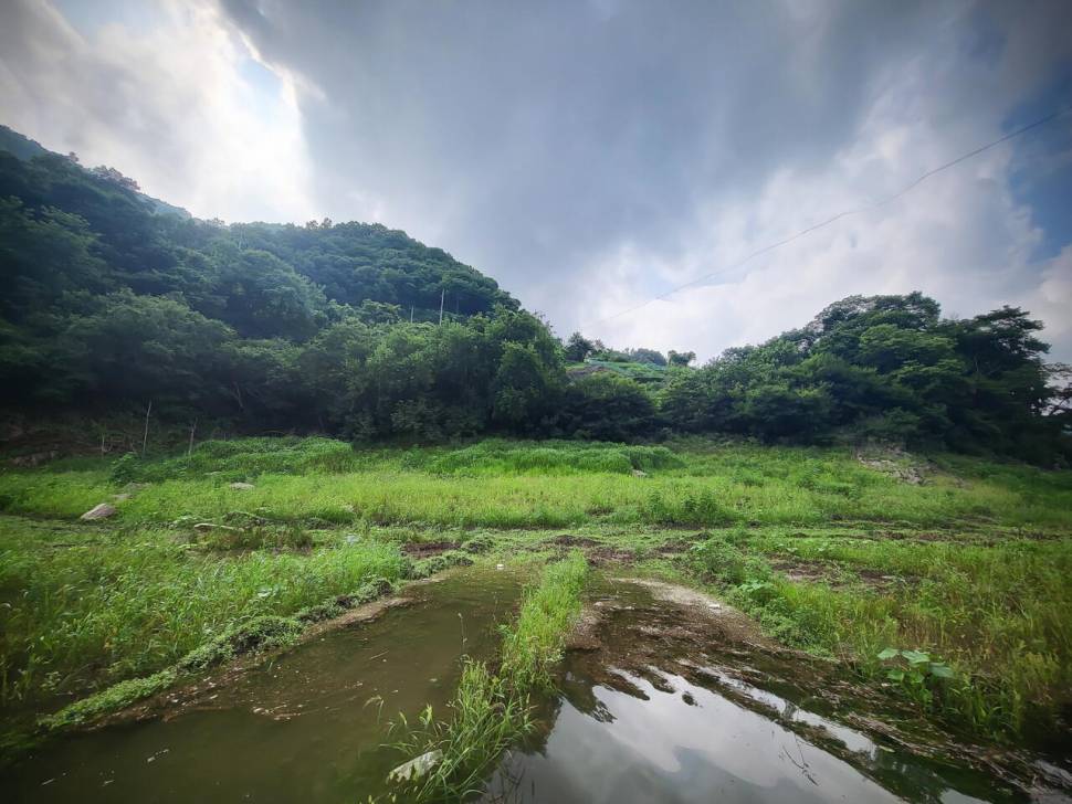 충주 사오리 오름수위 (조황조행기 - 화보조행기)