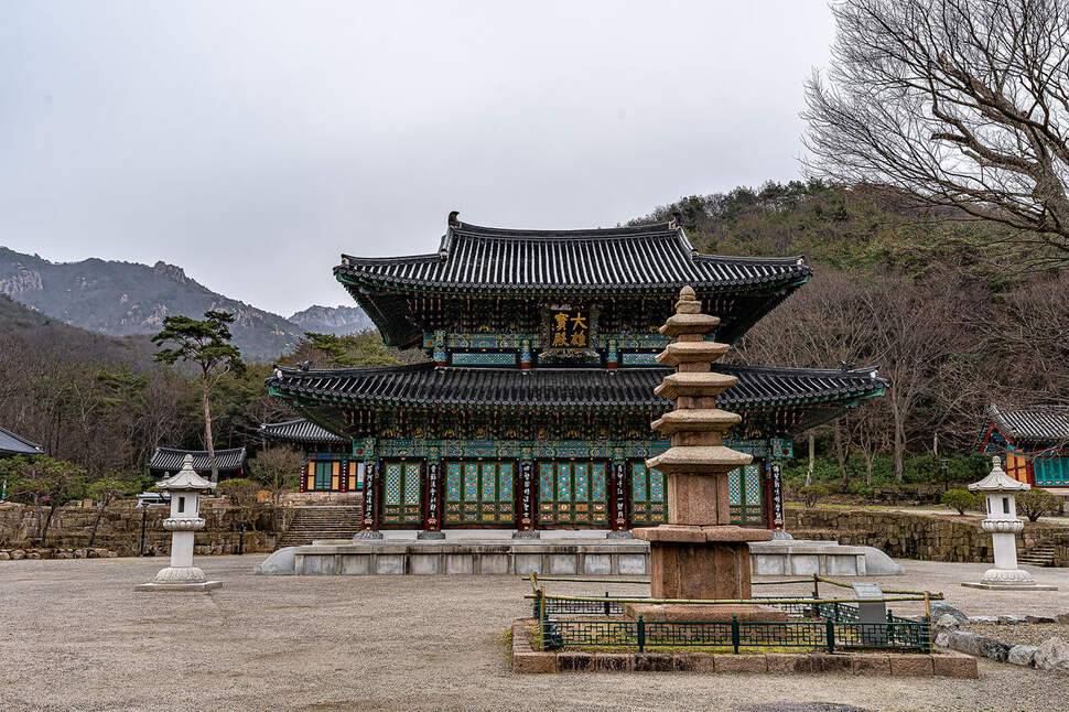 C씨의 낚시 여행 봄이 꾸는 꿈처럼 살아가고 싶다 (조황조행기 - 화보조행기)