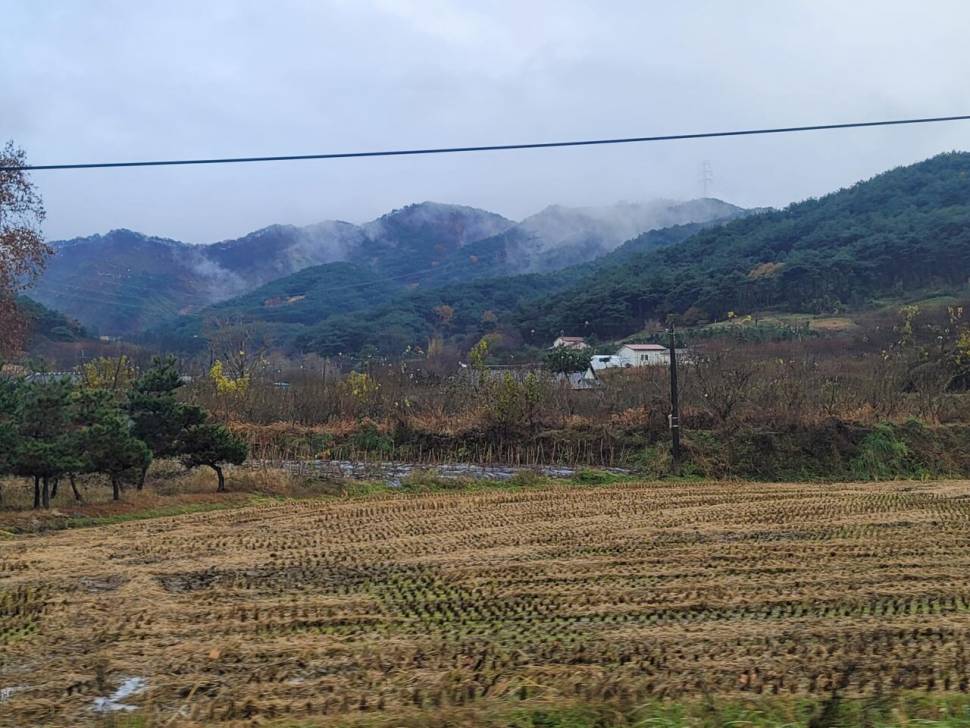 악천후 속에서 대물이 나온다 (조황조행기 - 화보조행기)