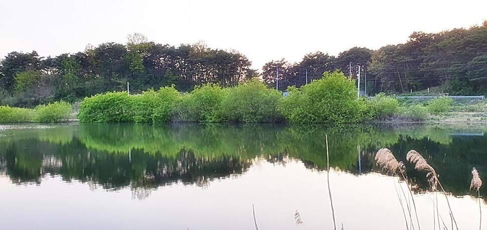 경북권 (조황조행기 - 화보조행기)