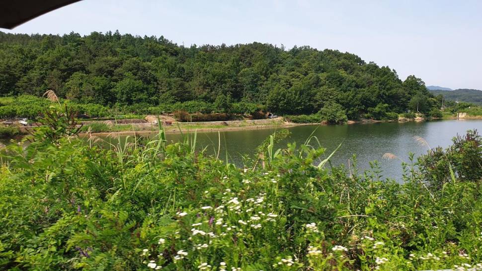 노지 조행기 시즌9화 배수기 낚시 (조황조행기 - 화보조행기)
