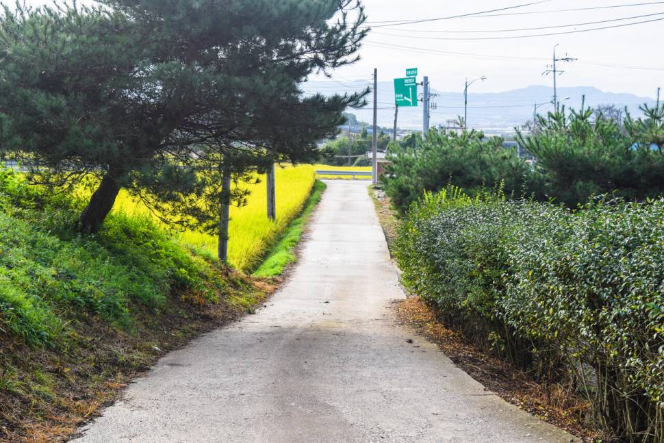 공간의 낚시 조행기 (조황조행기 - 화보조행기)