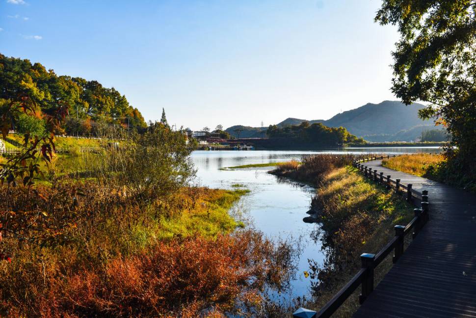 공간의 낚시 조행기 (조황조행기 - 화보조행기)