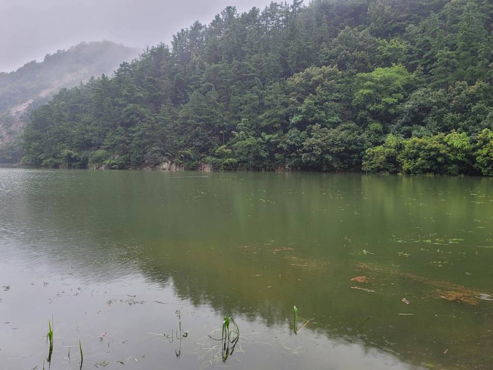 가을의 문턱에 찾은 산속 계곡지 (조황조행기 - 화보조행기)