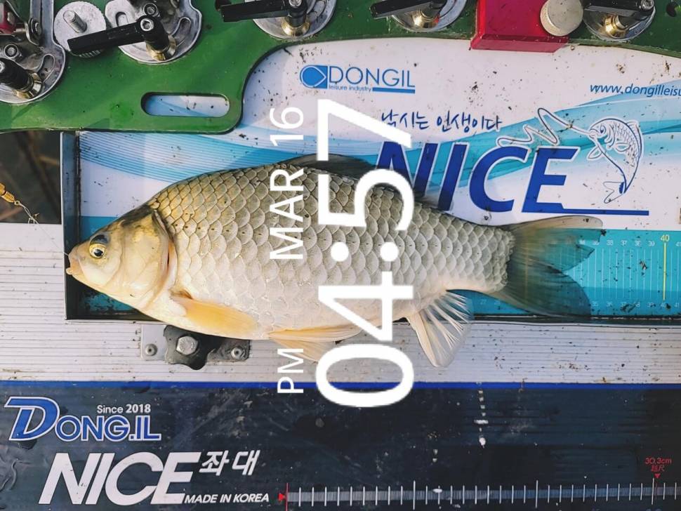 영암에 찾아온 봄 (조황조행기 - 화보조행기)