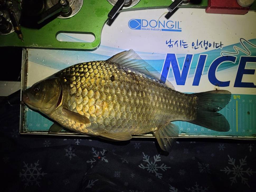 이제 다시 시동을 걸어봅니다 (조황조행기 - 화보조행기)