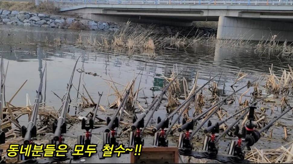 부들갈대 낮은수심 낚시 (조황조행기 - 화보조행기)