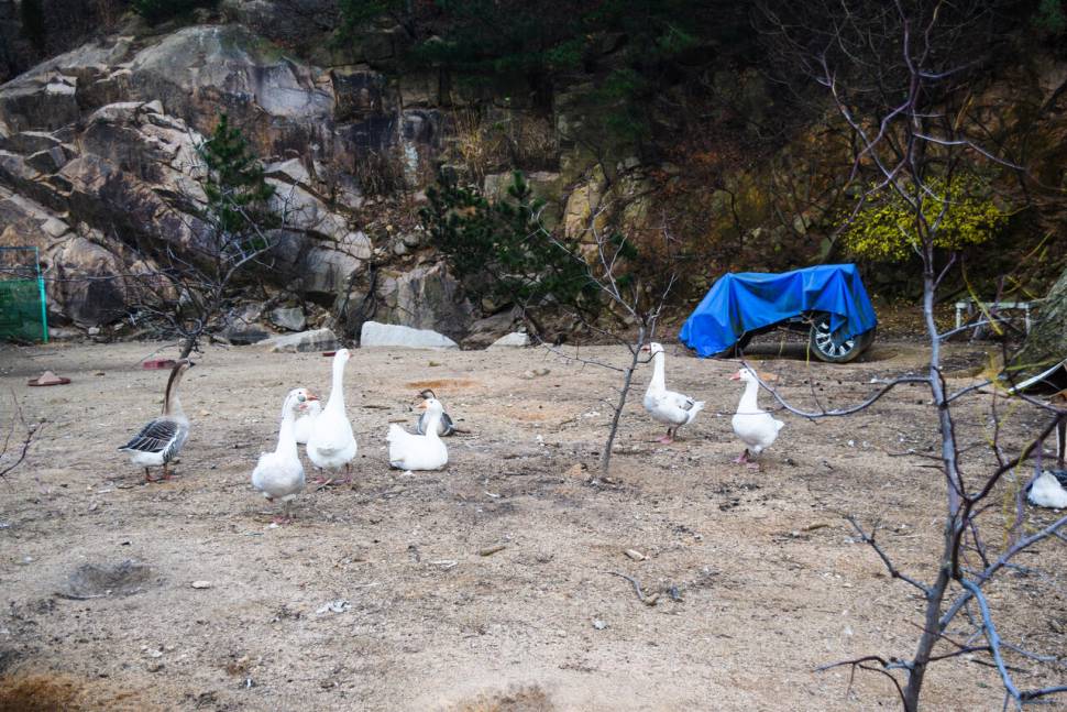 공간의 낚시 조행기 (조황조행기 - 화보조행기)