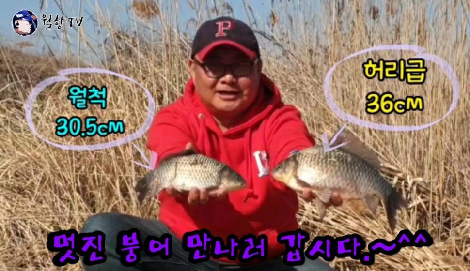 산란기 붕어 보러 다녀왔습니다 (조황조행기 - 화보조행기)