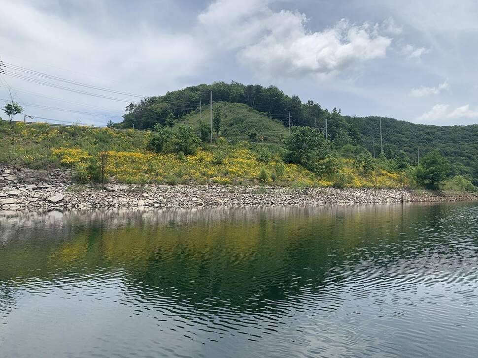 홍이의 낚시여정꼭 한번 가볼만한 보은 계곡지 (조황조행기 - 화보조행기)