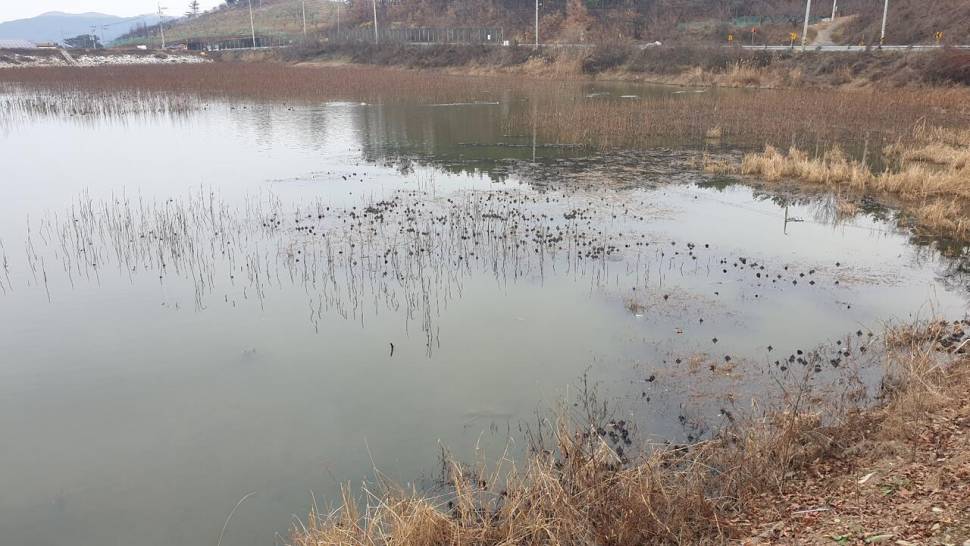 피싱 패밀리시즌마감 (조황조행기 - 화보조행기)