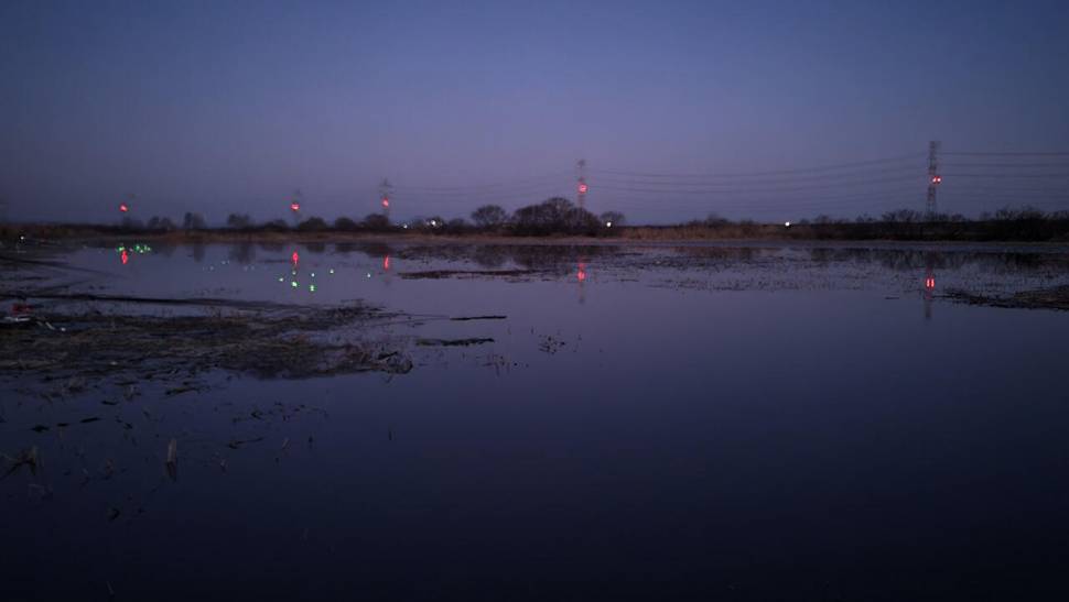 붕어낚시 시즌 시작 Carp fishing season begins (조황조행기 - 화보조행기)